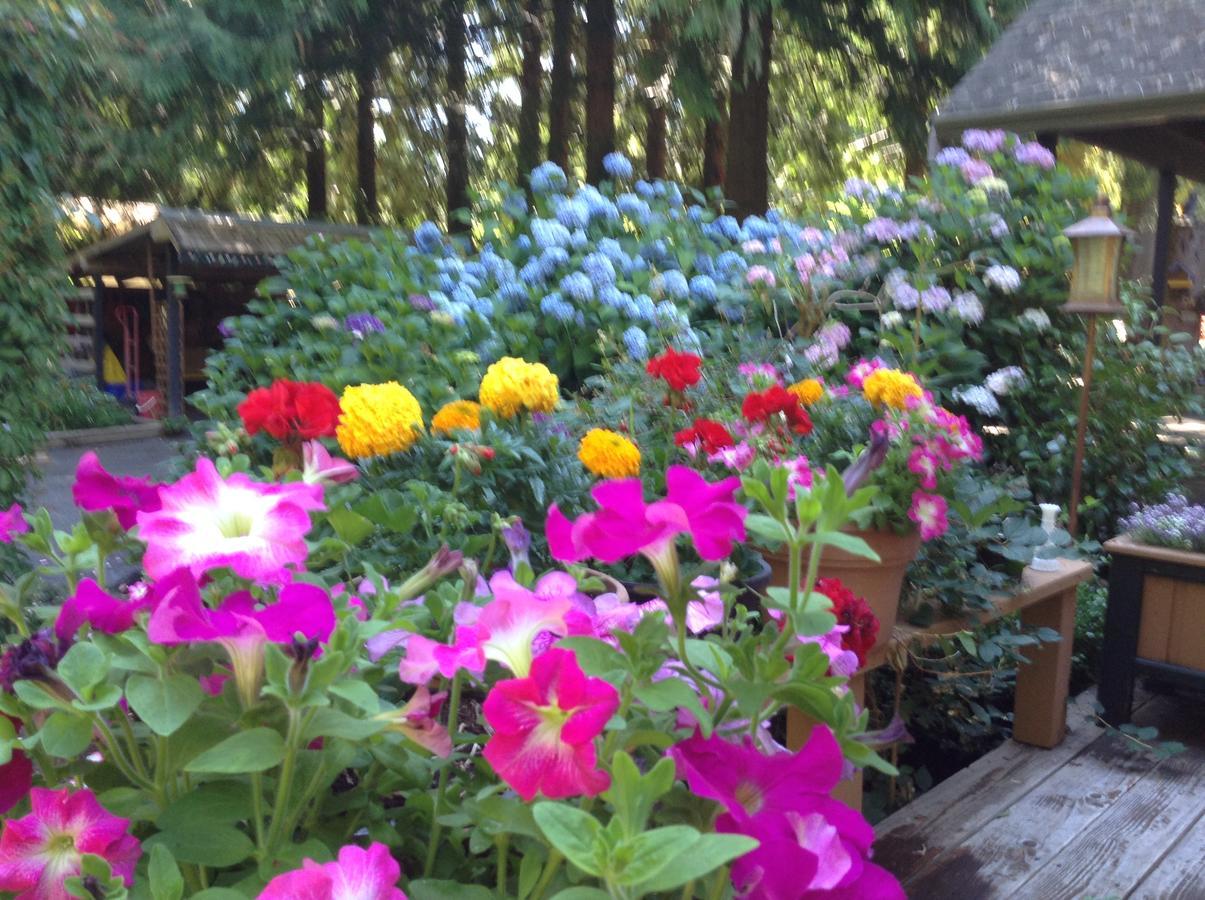 Tea Cozy Bed & Breakfast Qualicum Beach Εξωτερικό φωτογραφία